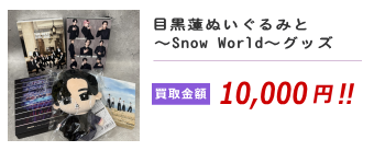 目黒蓮ぬいぐるみと～Snow World～グッズ